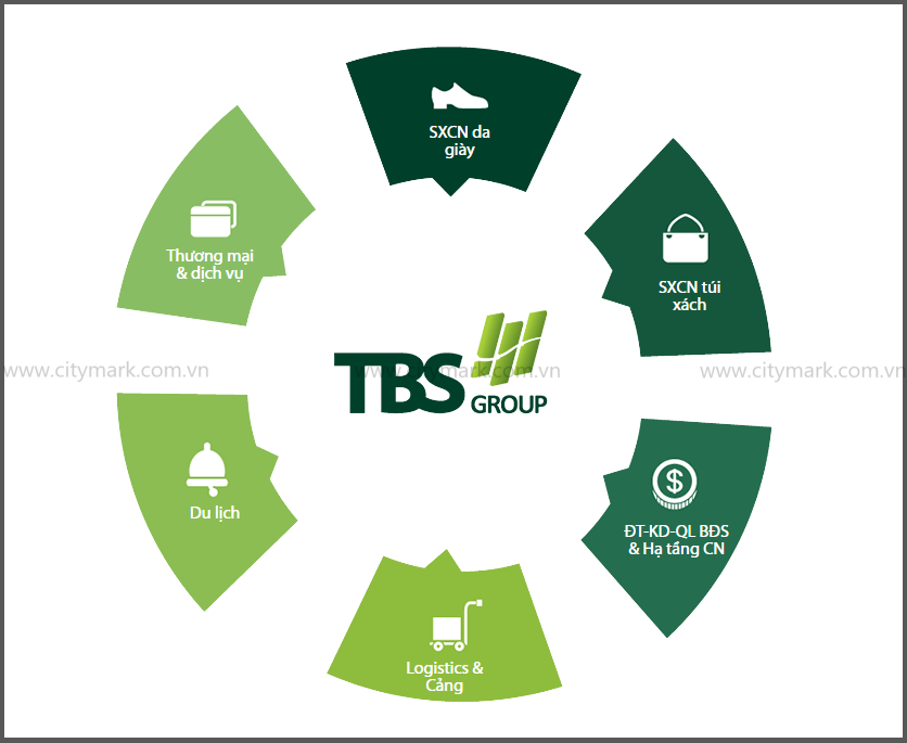 6 Ngành Trụ Cột Chính Của Tbs Group